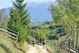 Piatra Craiului nationalpark privat vandringstur från Brasov