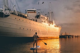 SUP Sun Experience con transporte desde Oporto y Braga