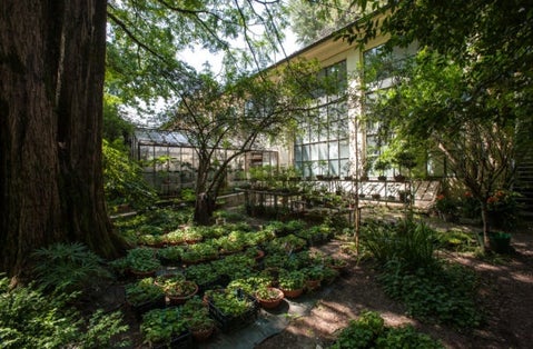 photo of view of Botanical Garden of Parma, Italy.