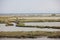 Comacchio Valleys, Comacchio, Ferrara, Emilia-Romagna, Italy