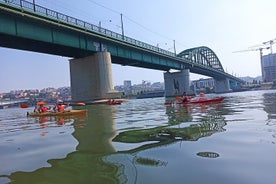  Kajaksiglingar undir Belgrad brýr