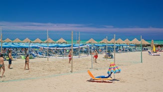 Photo of aerial view of colorful summer view of Pescara port, Italy.