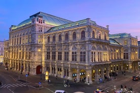 Tour privado de música de Viena