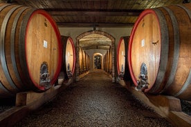 Langhe (Piemonte): Vinsmakingsopplevelse