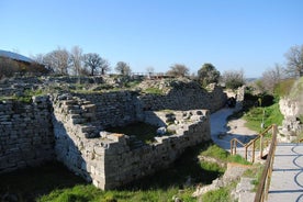 Troy og Gallipoli dagstur fra Canakkale