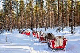 photo of beautiful view of Finnish landscape with trees in snow, ruka, karelia, lapland, hilly winter landscapes in famous winter sports area called Ruka.