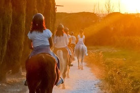 Horseback riding at sunset at the Certosa di Pisa