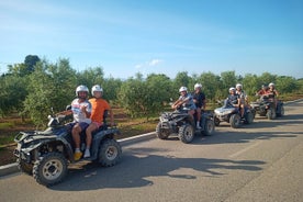 Tour 1 ora QUAD Safari