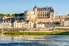 Château Royal d'Amboise travel guide