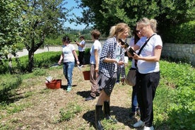 Schatzsuche & Weinprobe