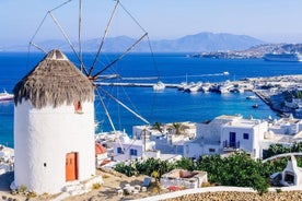 Mykonos Town and Island Half-Day Tour