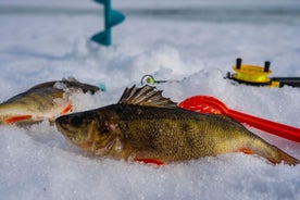 Ice Fishing in a small group with snowshoeing and salmon soup