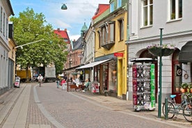 Sorprendi la passeggiata di Malmö con un locale