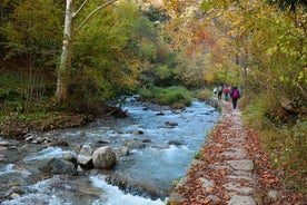 Val Senagra - Lumottu Laakso