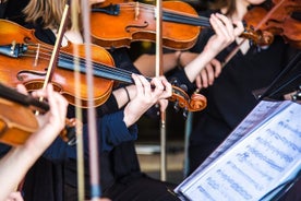 Mozart, Beethoven, Strauss à Vienne Visite privée et concert