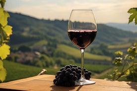 Geneva: Guided wine tour