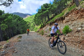 Private elektrische Mountainbike-Tour ab Estepona