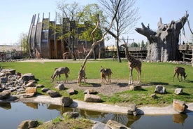 Rotterdam: Rotterdam Zoo Blijdorp Entry Ticket