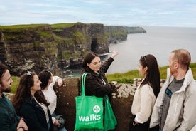 Tagesausflug zu den Cliffs of Moher und Galway ab Dublin in kleiner Gruppe