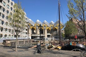 私人亮点和艺术徒步之旅：Markthal、Zadkine、街头艺术和仓库