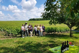 Loiredalen Halvdags vintur från Tours: Vouvray vinprovning