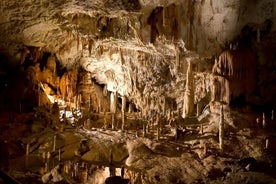 Excursão privada à caverna de Postojna e ao castelo de Predjama saindo da costa eslovena