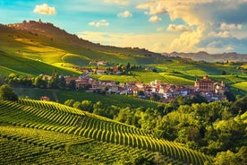 Barolo wine Tasting, Alba, UNESCO Castle: Small Group from Milan