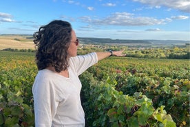 Viagem de um dia para grupos pequenos em Sancerre com degustação de vinhos e almoço