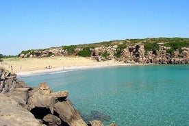 Exclusieve naturalistische tour van Vendicari en bezoek aan Noto