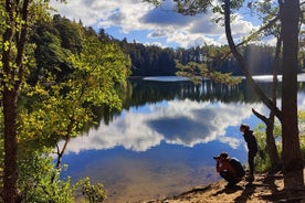 Ir al norte: viaje privado de 1 día a la naturaleza de Estonia