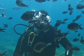 Essayez l'expérience de plongée sous-marine