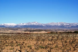 Logroño - city in Spain