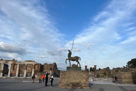 Heilsdagsferð til Pompeii, Vesúvíusar og Herculaneum