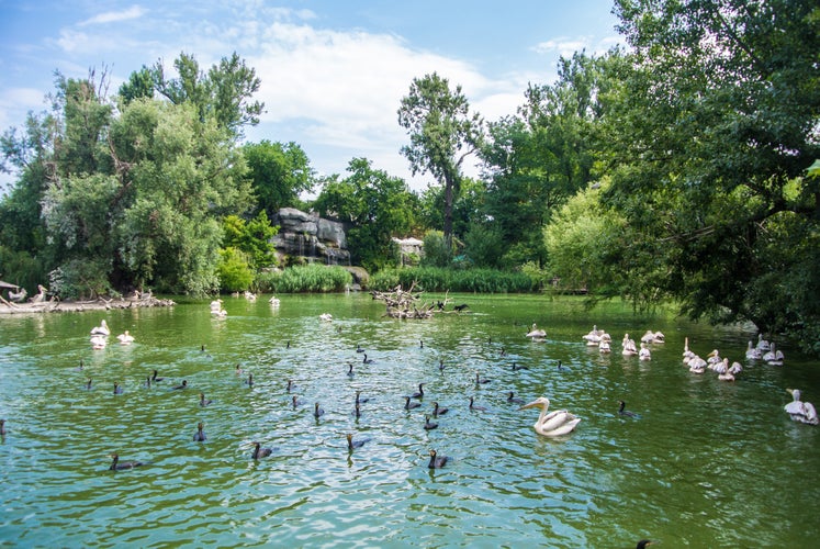 Budapest Zoo & Botanical Garden 2.jpg