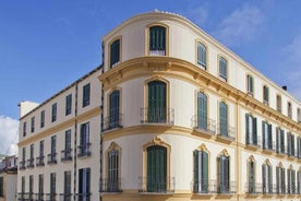 Malaga: Picasso Birthplace Museum Ticket with Digital Audio Guide