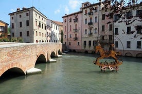 Besichtigung der wichtigsten Sehenswürdigkeiten von Treviso mit lokalem Guide und Prosecco-Weinprobe