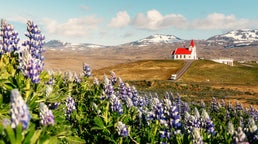 Hótel og gististaðir á Hellissandi, Íslandi