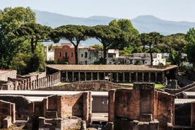 Pompeii & Bosco de' Medici Winery Skip the line from Sorrento 