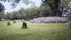 Clava Cairns