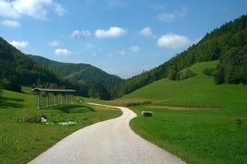 Alpine Slovenia. Private trip from Ljubljana. Price per car.