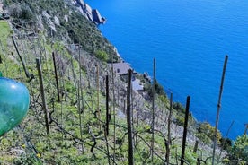 Weinbergtour mit Weinprobe in Cinque Terre