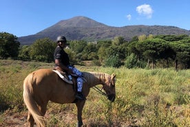 Esperienza a cavallo al Vesuvio con degustazione di vini