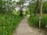 Sculthorpe Moor Nature Reserve, Sculthorpe, North Norfolk, Norfolk, East of England, England, United Kingdom