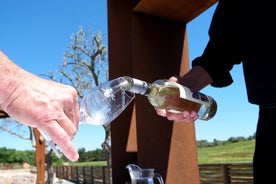 Dégustation de vin et visite artistique