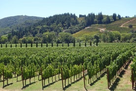 Napa Valleyn viininmaistelukierrokset San Franciscosta 4-14 hengelle