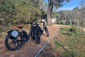 カスカイスで電動自転車をレンタル！