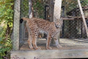 Zoo of Chisinau