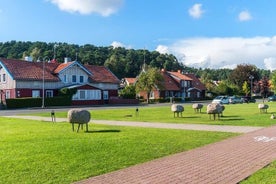 Private Tour: Kurische Nehrung und Höhepunkte von Klaipeda