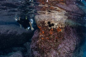 Sunset Snorkeling from Sorrento