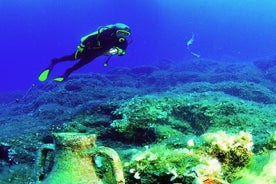 Full-Day Scuba Diving Excursion From Alanya With Lunch